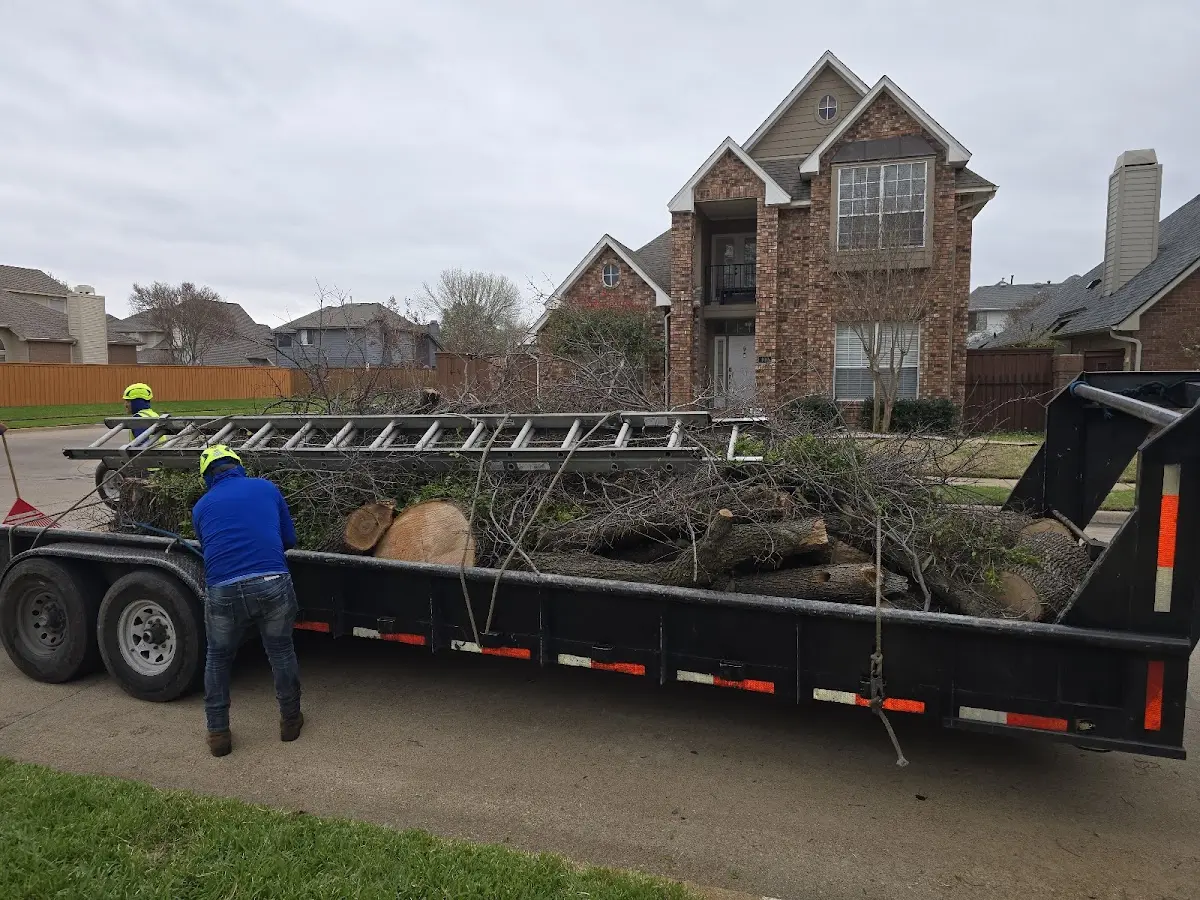 Expert Tree Removal with proper safety equipment in Koppel